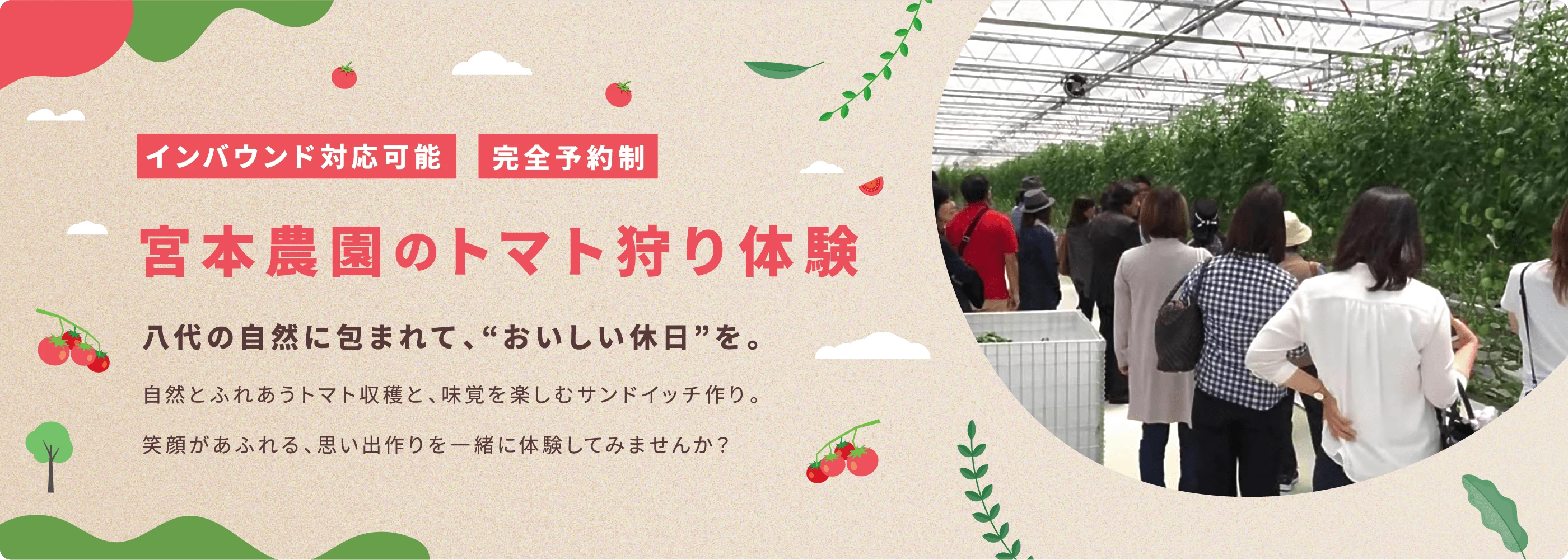 宮本農園のトマト狩り体験
