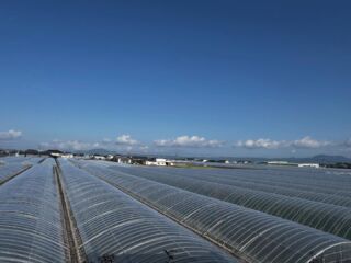 宮本農園 - 熊本 宮本農園